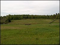 May 2006 50.JPG