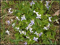 May 2006 52.JPG