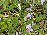 May 2006 53.JPG