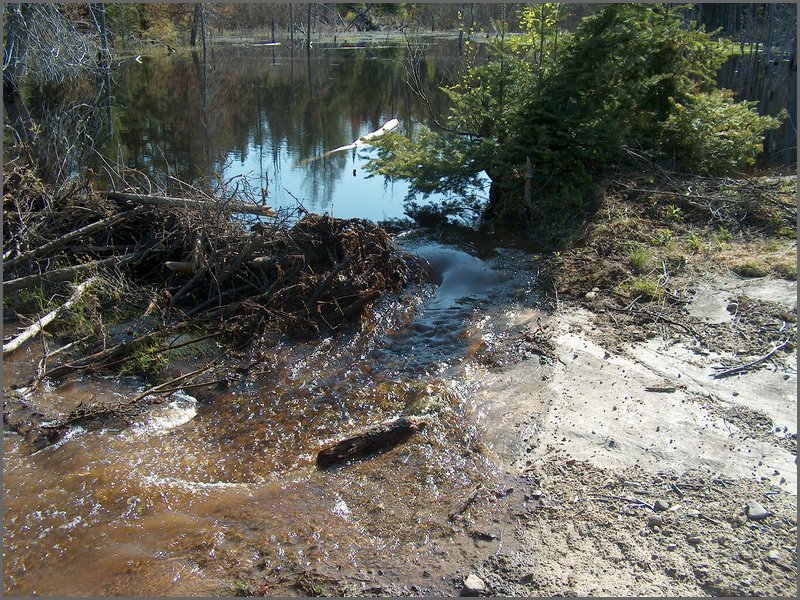 May 2007 19.JPG