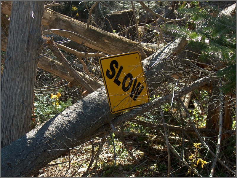 May 2007 22.JPG