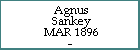Agnus Sankey