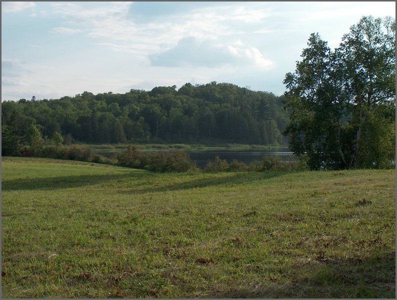 Field By Mud Lake.jpg