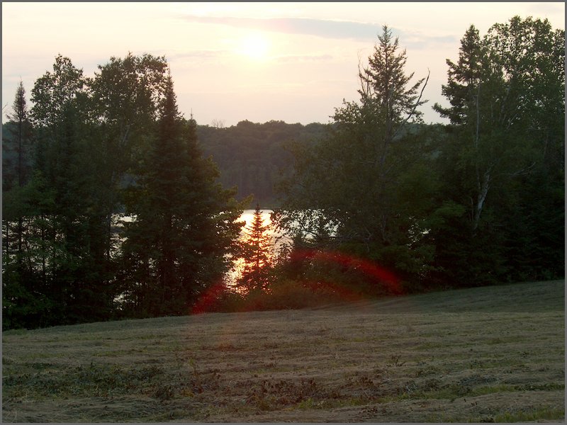 Mud Lake July 2004g.jpg