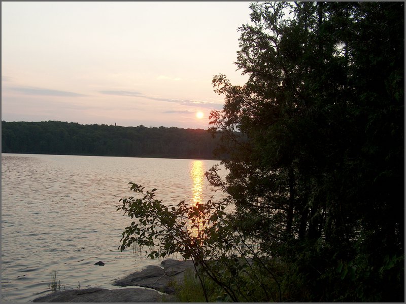 Mud Lake July 2004h.jpg