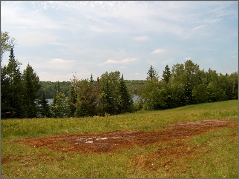 Mud Lake June 2004b.jpg