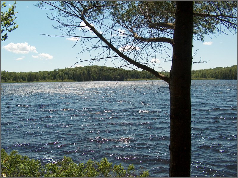 Mud Lake June 2004p.jpg