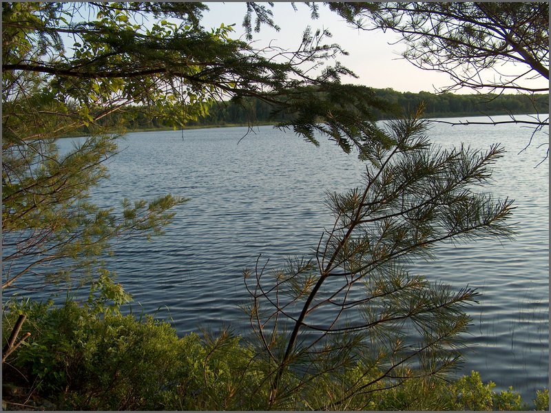 Mud Lake June 2004wc.jpg