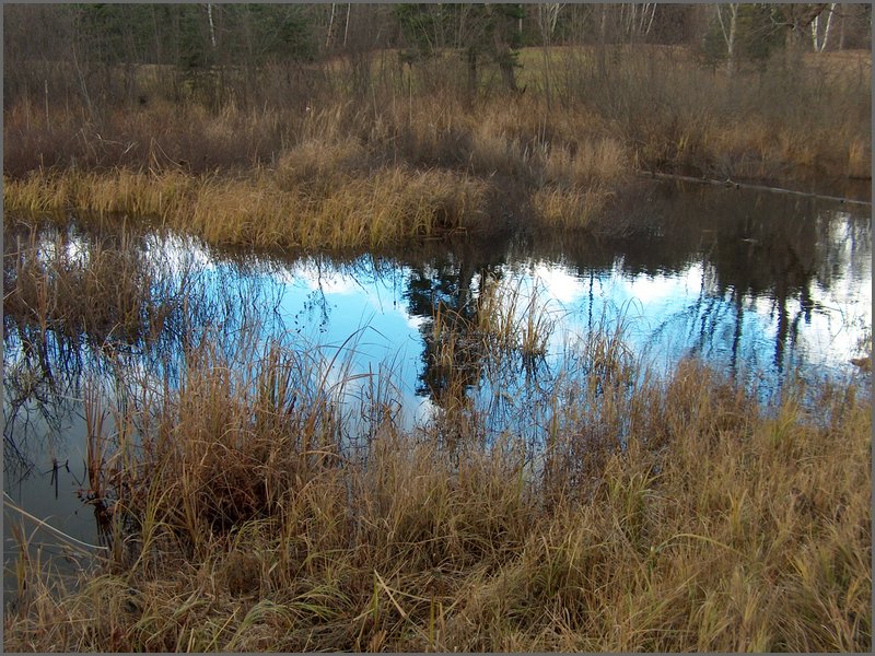 Mud Lake Nov 2004a.jpg