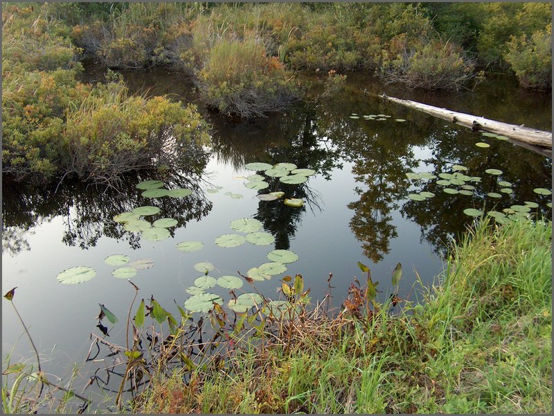 Mud Lake Sept 2004h.jpg