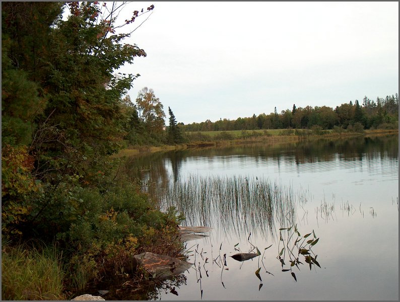 Mud Lake Shore.jpg.JPG