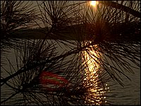 -Mud Lake Sept 2004d.jpg