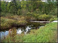 Creek By Bridge.jpg.JPG