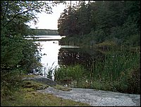 Mud Lake - By The Bridge.jpg.JPG
