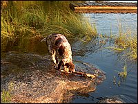 Mud Lake July 2004e.jpg