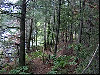 Mud Lake June 2004e.jpg