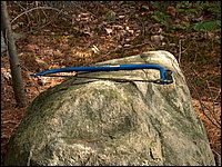 Mud Lake June 2004f.jpg