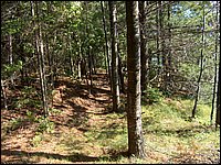 Mud Lake June 2004s.jpg