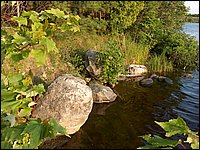 Mud Lake June 2004wb.jpg