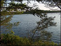 Mud Lake June 2004wc.jpg