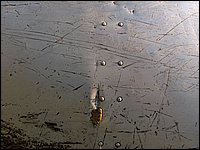 Mud Lake June 2004wf.jpg