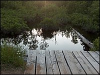 Mud Lake June 2004wl.jpg