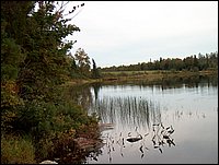 Mud Lake Shore.jpg.JPG