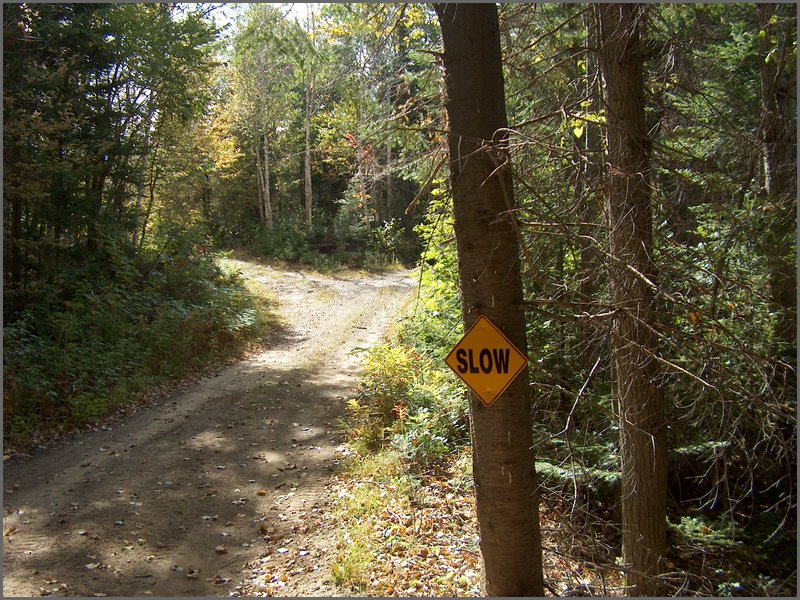 1628-Road By McConnell Field.jpg