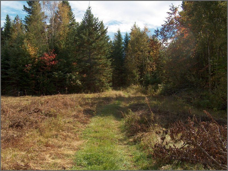 1630-McConnell Field.jpg