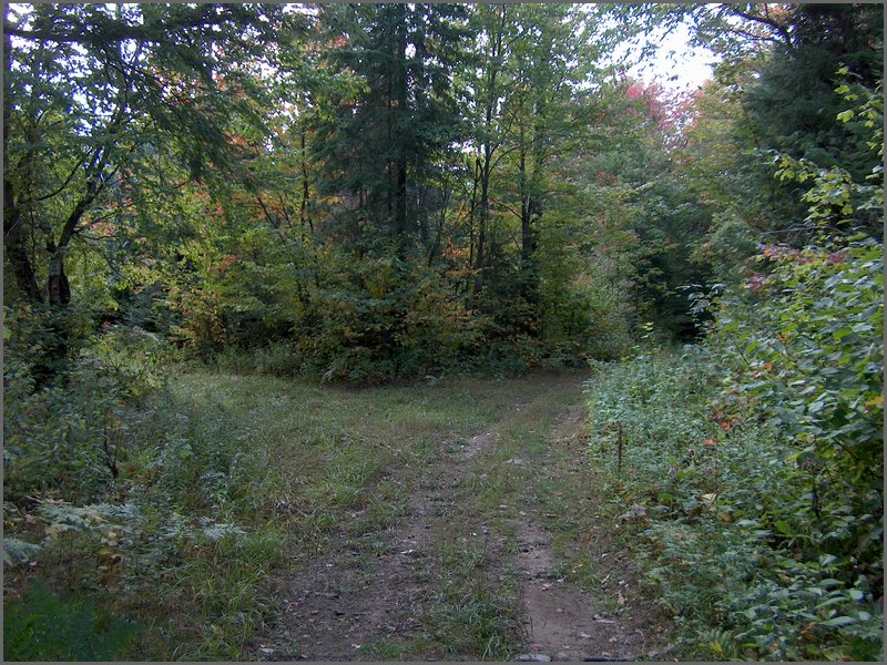 1656-Near Matt's.jpg