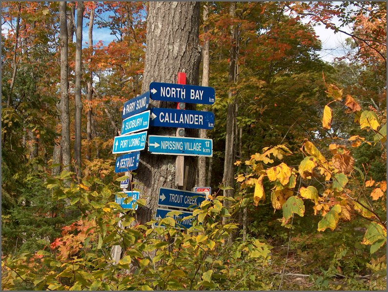 1691-Skidoo Signs.jpg