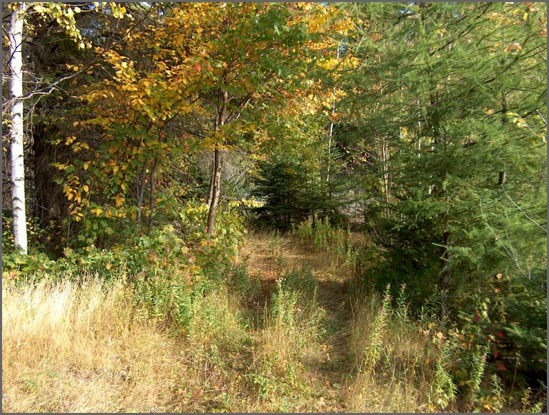 1739-Sand Pit To Potato Patch.jpg