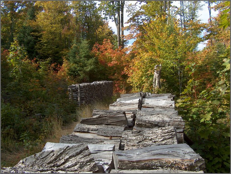 1747-Wood Piles.jpg