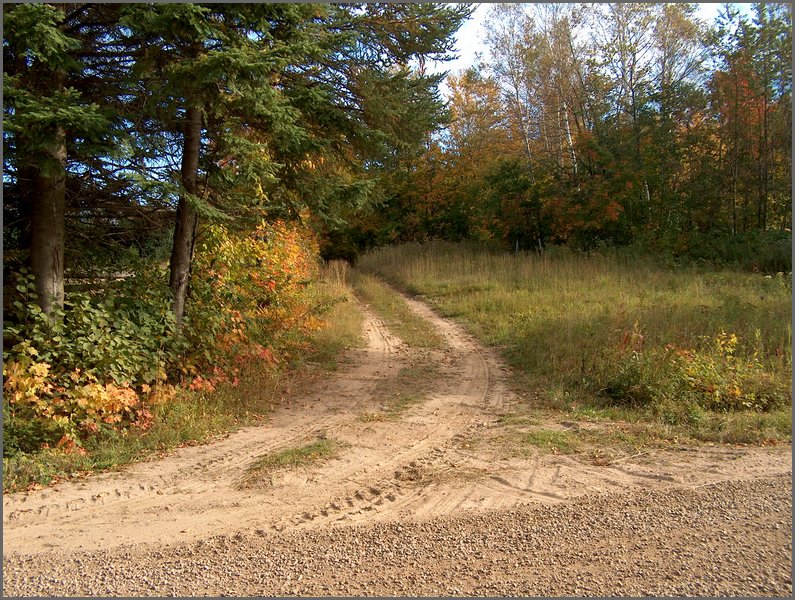 1759-Road To Potato Patch.jpg