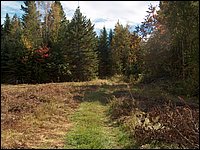 1630-McConnell Field.jpg