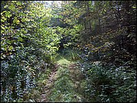 1660-Road To Gravel Pit.jpg