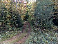1667-Trail From Gravel Pit To field.jpg