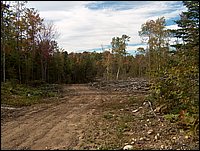 1692-Logging Road.jpg