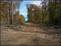 1693-Logging Road.jpg