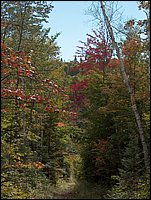 1696-Porcupine Hill.jpg