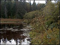 1700-Porcupine Creek.jpg