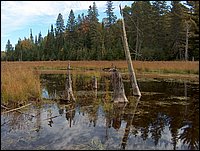 1701-Porcupine Creek.jpg