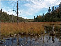 1702-Porcupine Creek.jpg