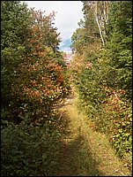 1703-Porcupine Hill.jpg