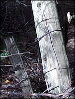 1722-Fence By Matt's.jpg