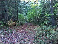 1725-Trail To Mary's Creek.jpg