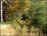 1739-Sand Pit To Potato Patch.jpg