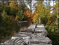 1747-Wood Piles.jpg