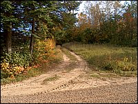 1759-Road To Potato Patch.jpg