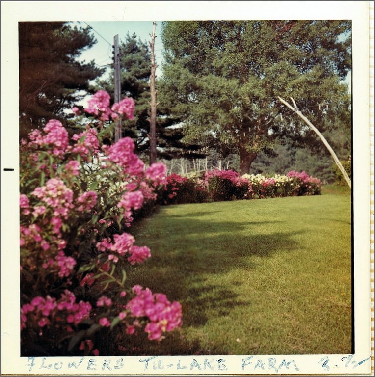 1972-08 Flowers Tu-Lake Farm.jpg